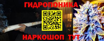 ECSTASY Лесосибирск
