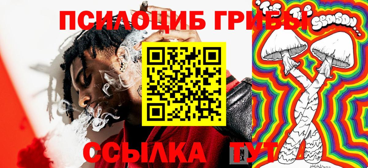 Псилоцибиновые грибы ЛСД Кизилюрт