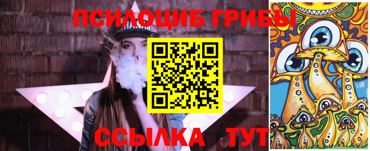 Кизилюрт  Галлюциногенные грибы мицелий  Псилоцибиновые грибы GOLDEN TEACHER  Вход с VPN 